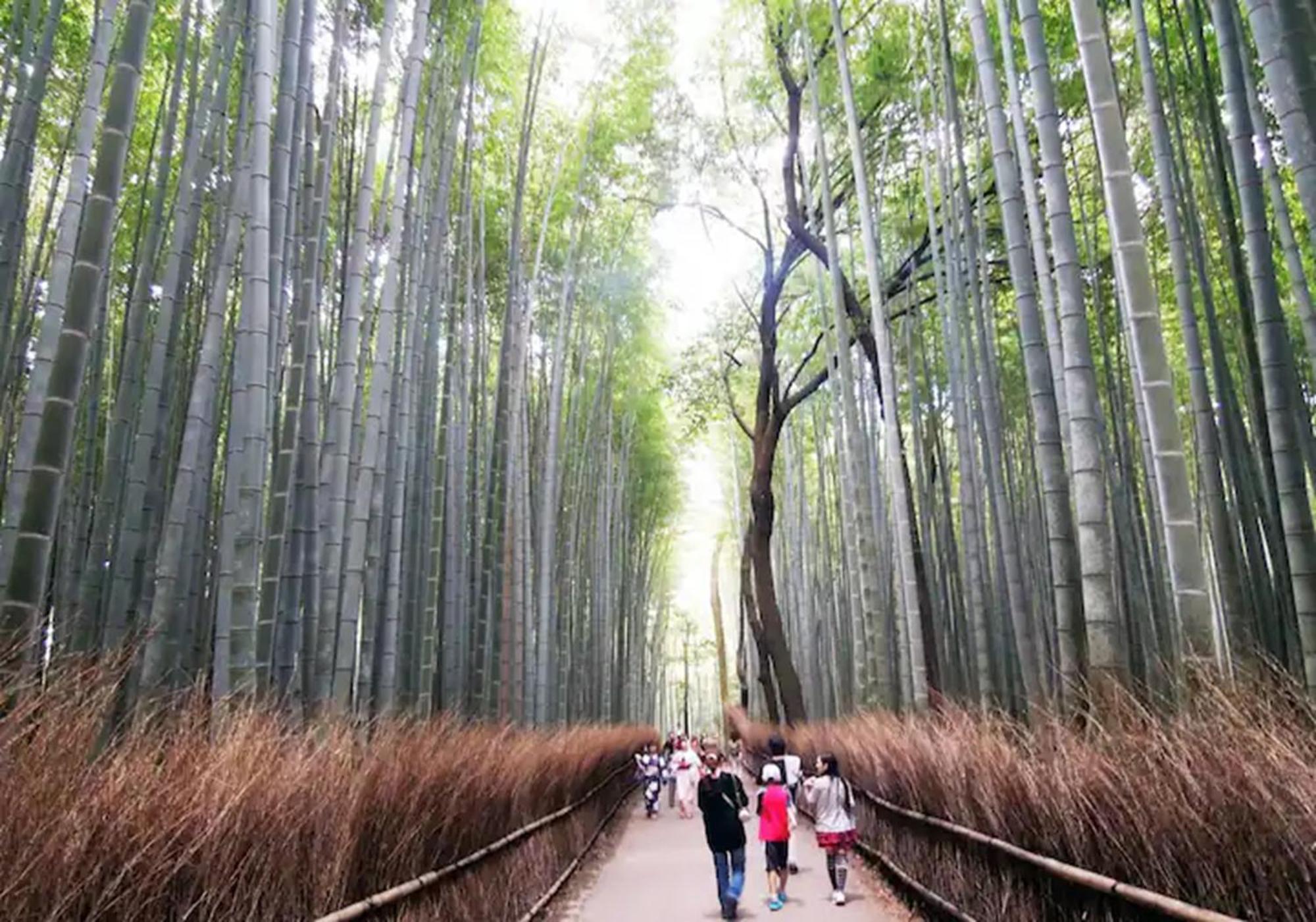 401 Newly Opened Baika Family Friendly Free Parking 10 Minutes To Usj アパート 大阪市